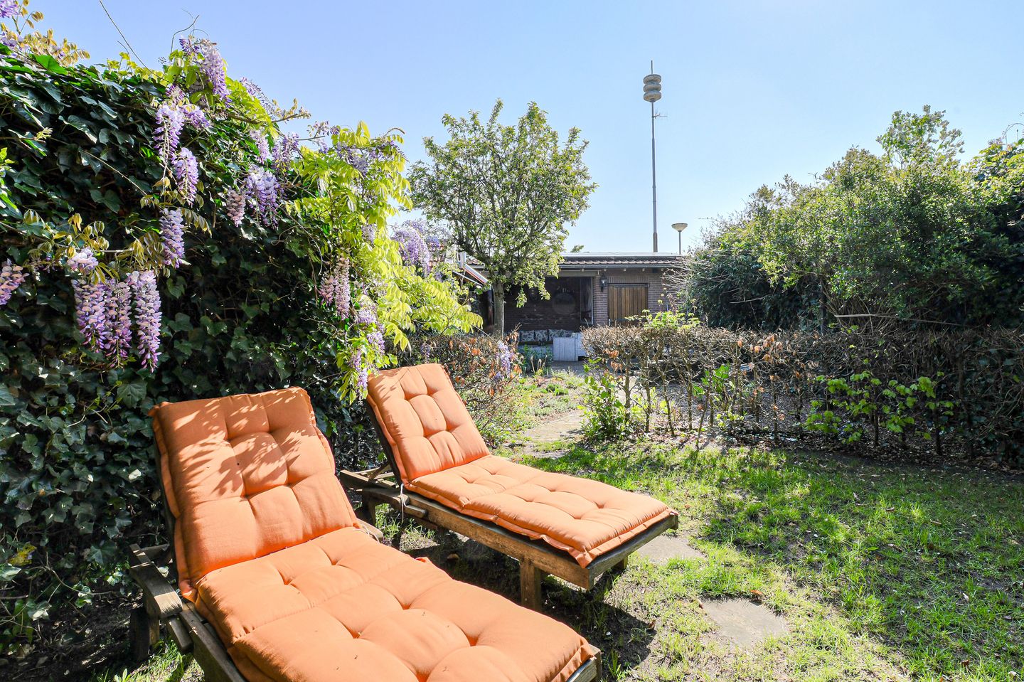 Foto 49 van Schijfstraat 50