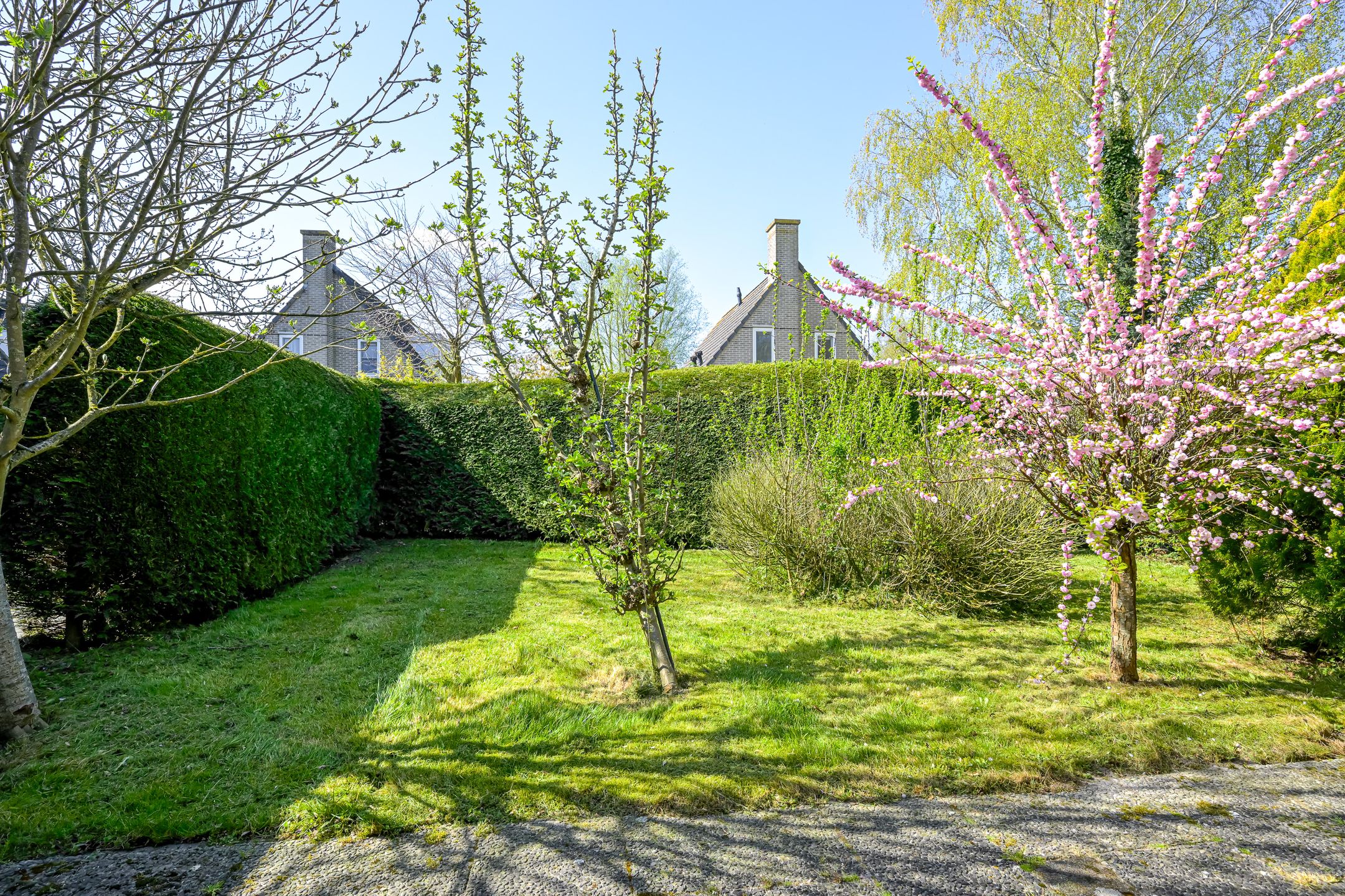 Photo 39 of Droge Wijmersweg 5-216