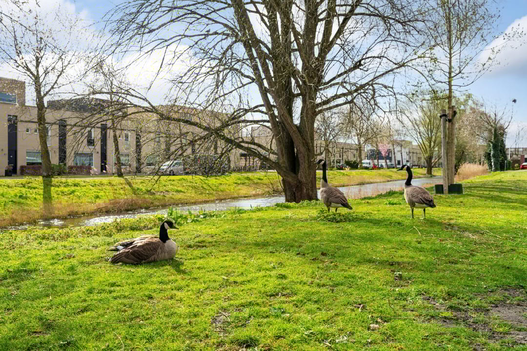 Foto 37 van Raaltestraat 29