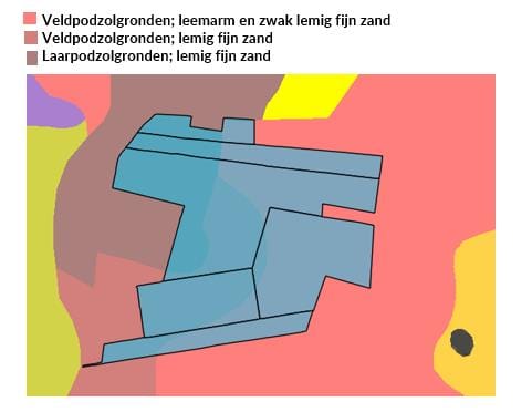 Peperstraat - Elsloo (FR) - Afbeelding 3