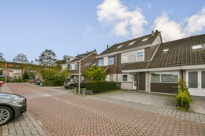 Foto 2 van Chirurgijn 7