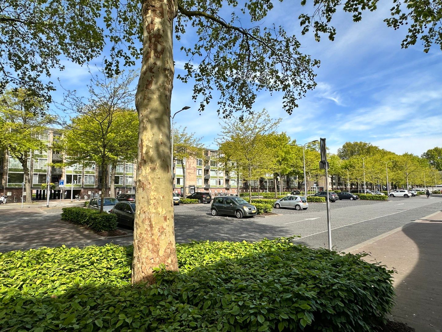 Foto 25 van Daniël Josephus Jittastraat 163