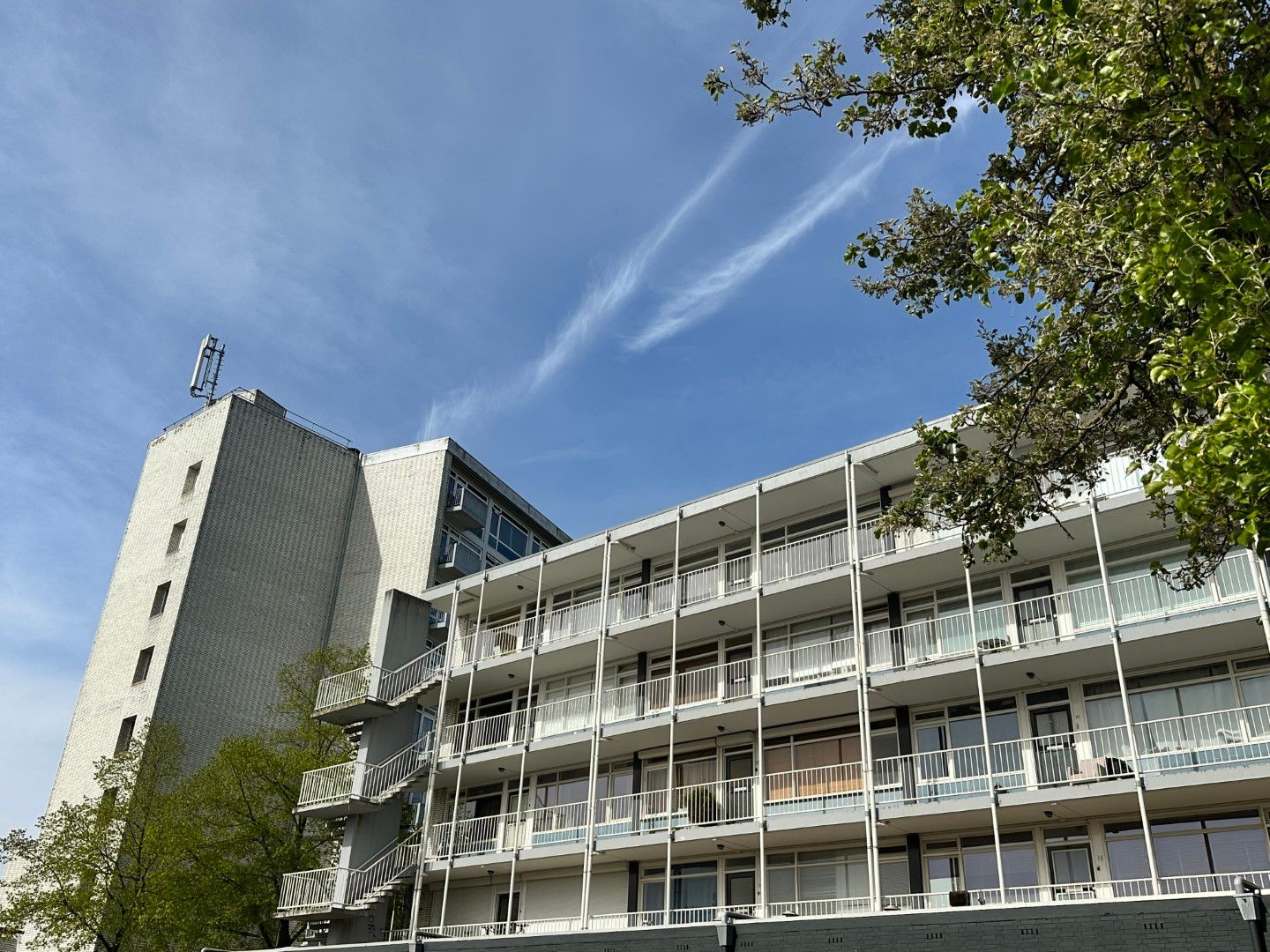 Daniël Josephus Jittastraat 163 