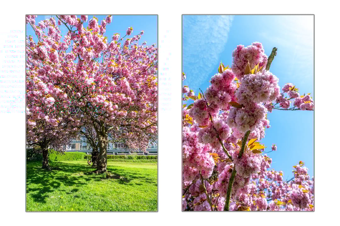 Foto 37 van Vechtplantsoen 50-3