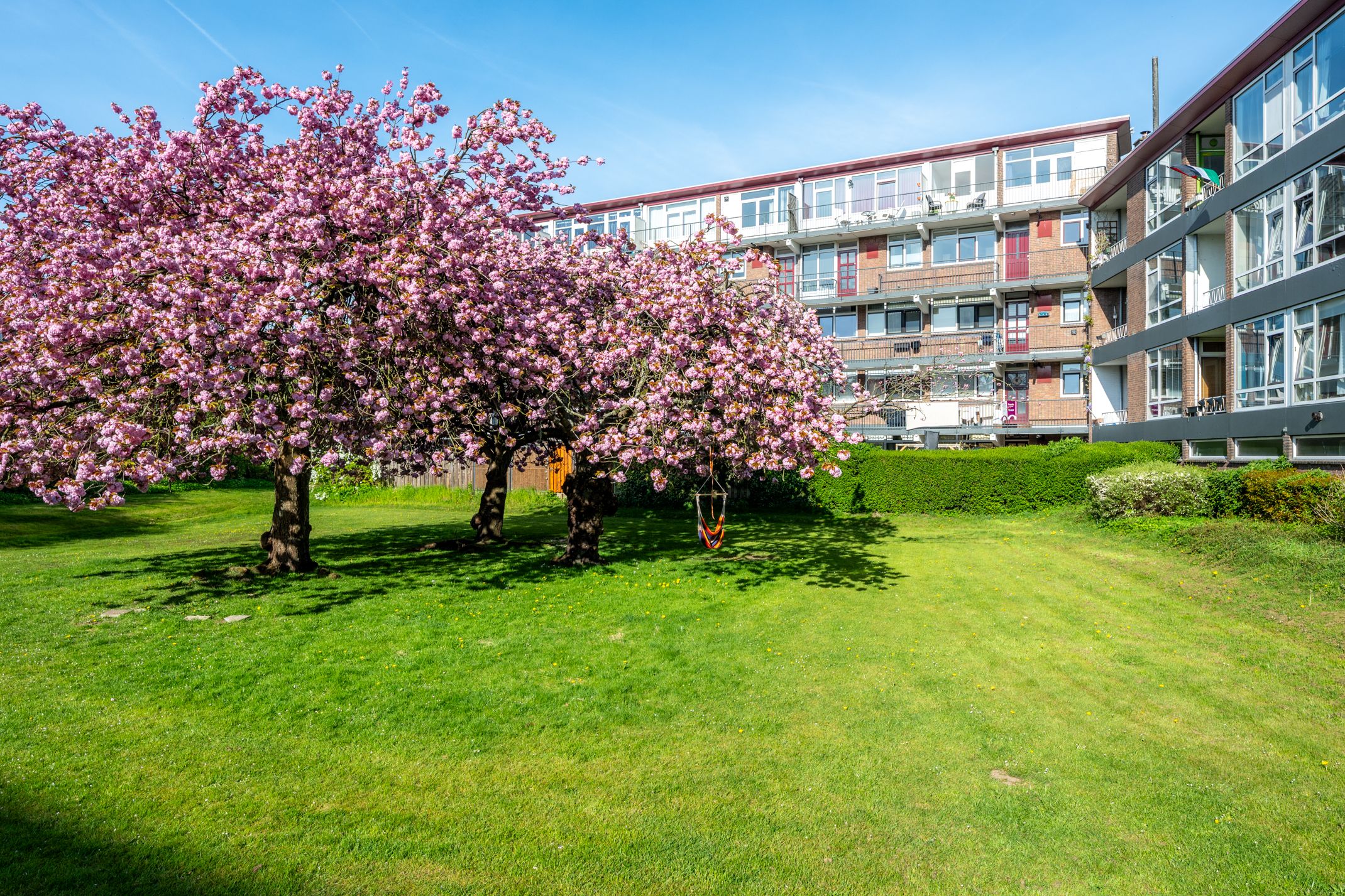 Foto 39 van Vechtplantsoen 50-3