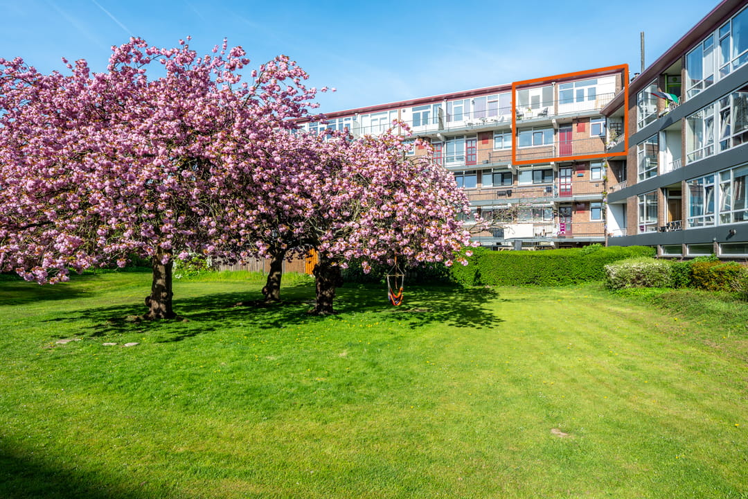 Foto 1 van Vechtplantsoen 50-3