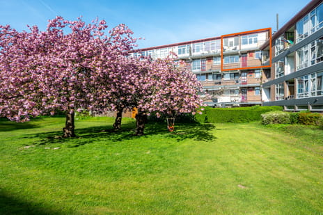 Vechtplantsoen thumbnail