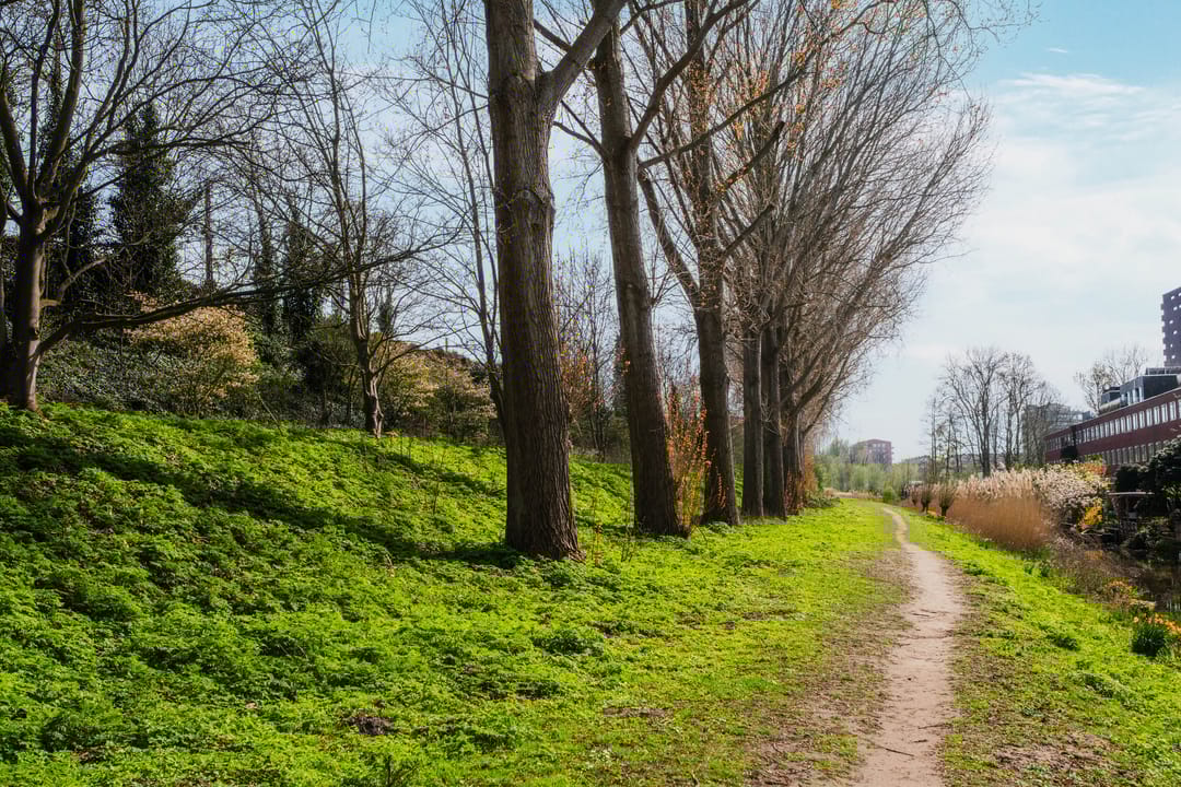 Foto 47 van Hof van Versailles 33