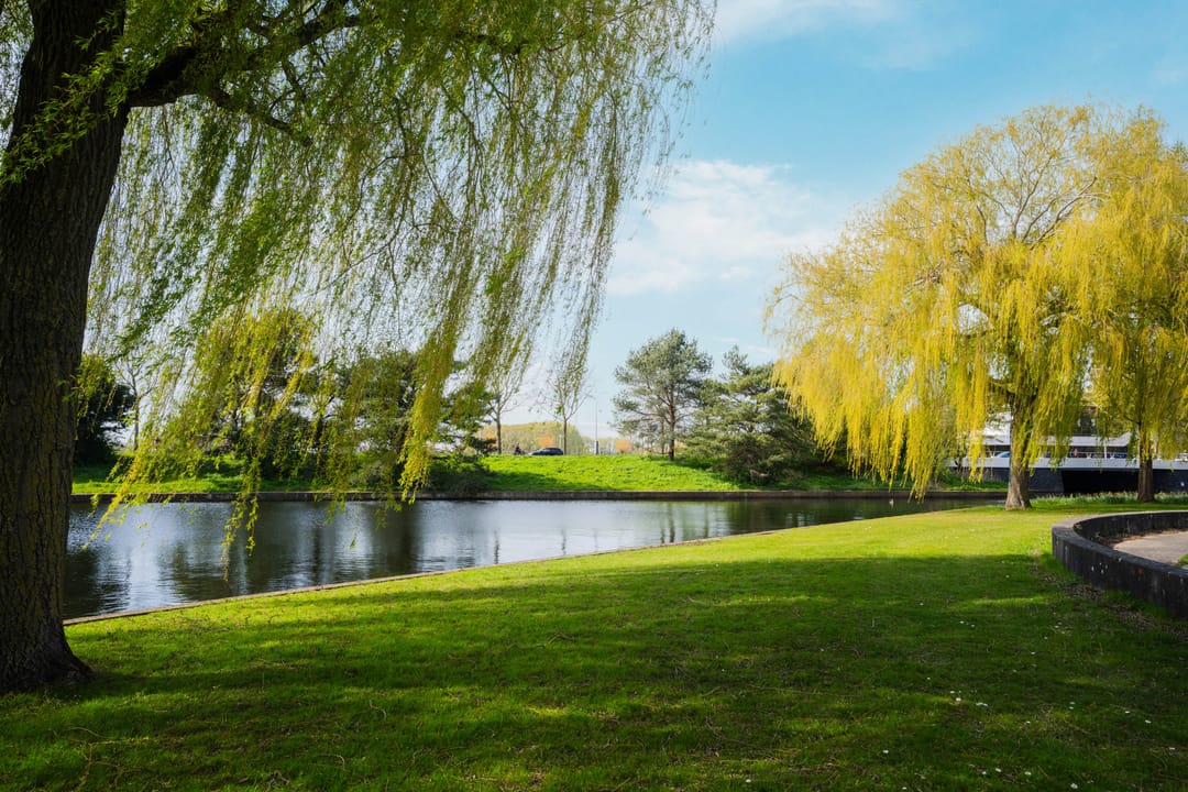 Foto 52 van Hof van Versailles 33