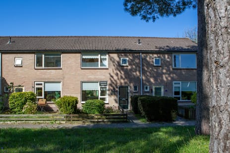 Douwe Totlaan thumbnail