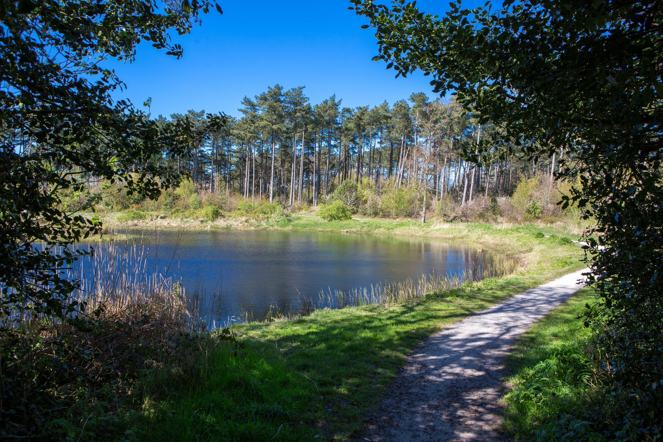 Foto 45 van Douwe Totlaan 37