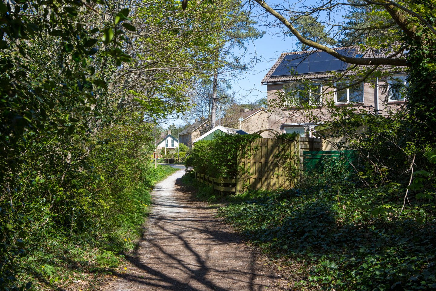 Foto 44 van Douwe Totlaan 37