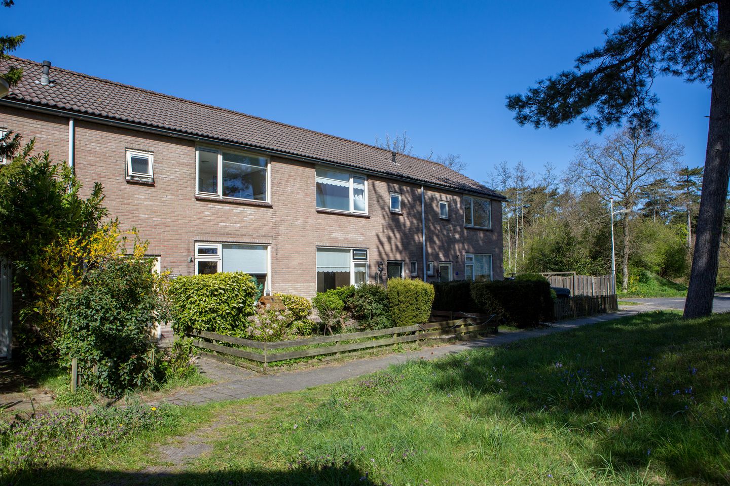 Foto 4 van Douwe Totlaan 37