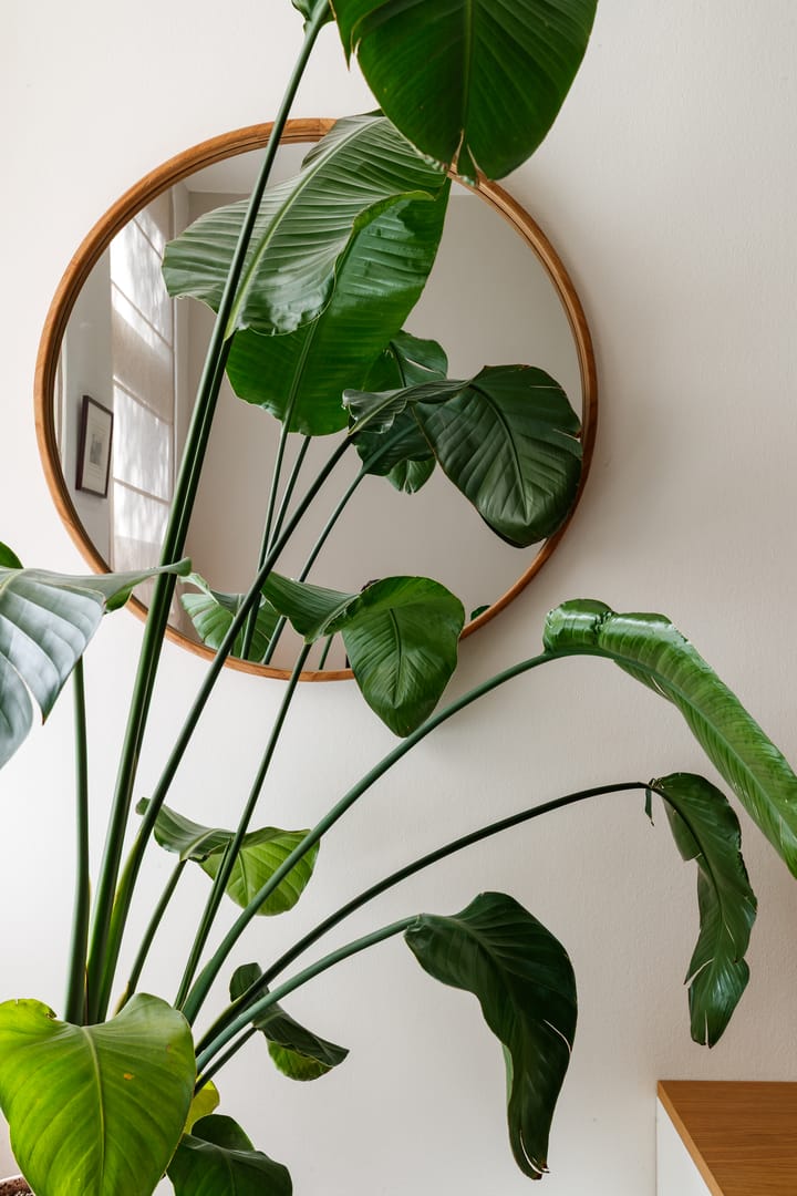 Foto 4 van Nieuwe Koekoekstraat 64