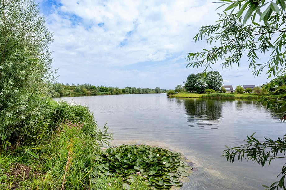 Photo 37 of Vier Heultjes 72