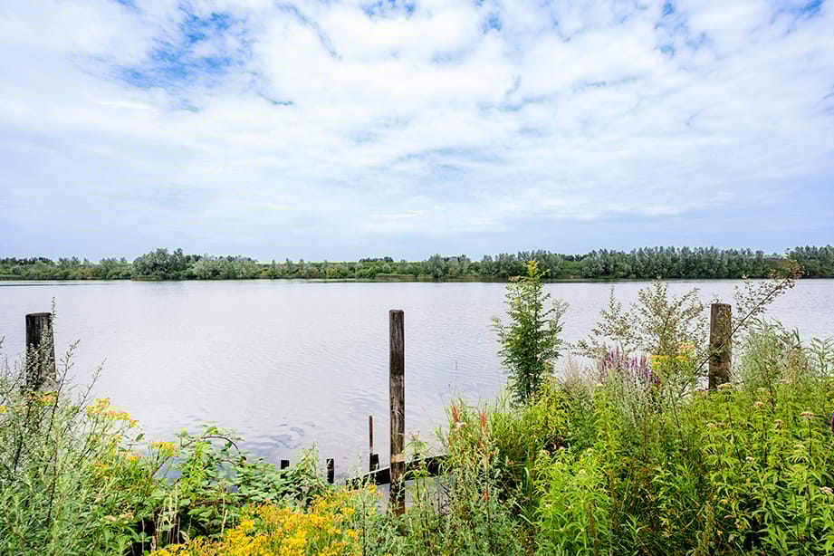 Photo 34 of Vier Heultjes 72