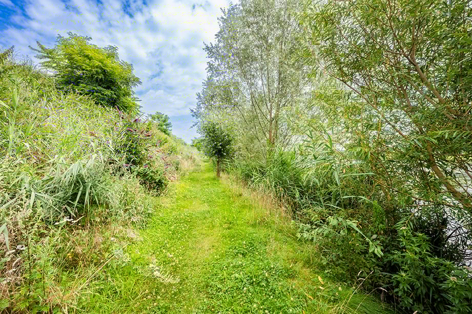 Photo 38 of Vier Heultjes 72