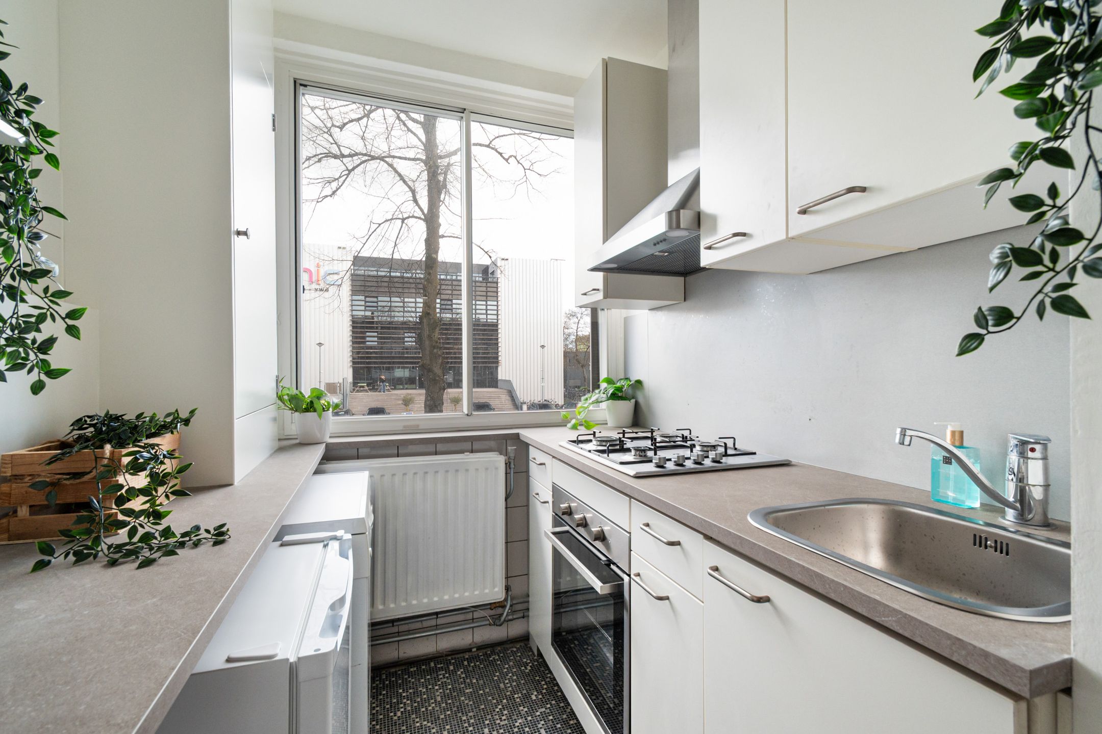 Photo 12 of Van Bijnkershoeklaan 7