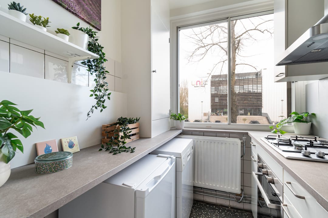 Photo 11 of Van Bijnkershoeklaan 7