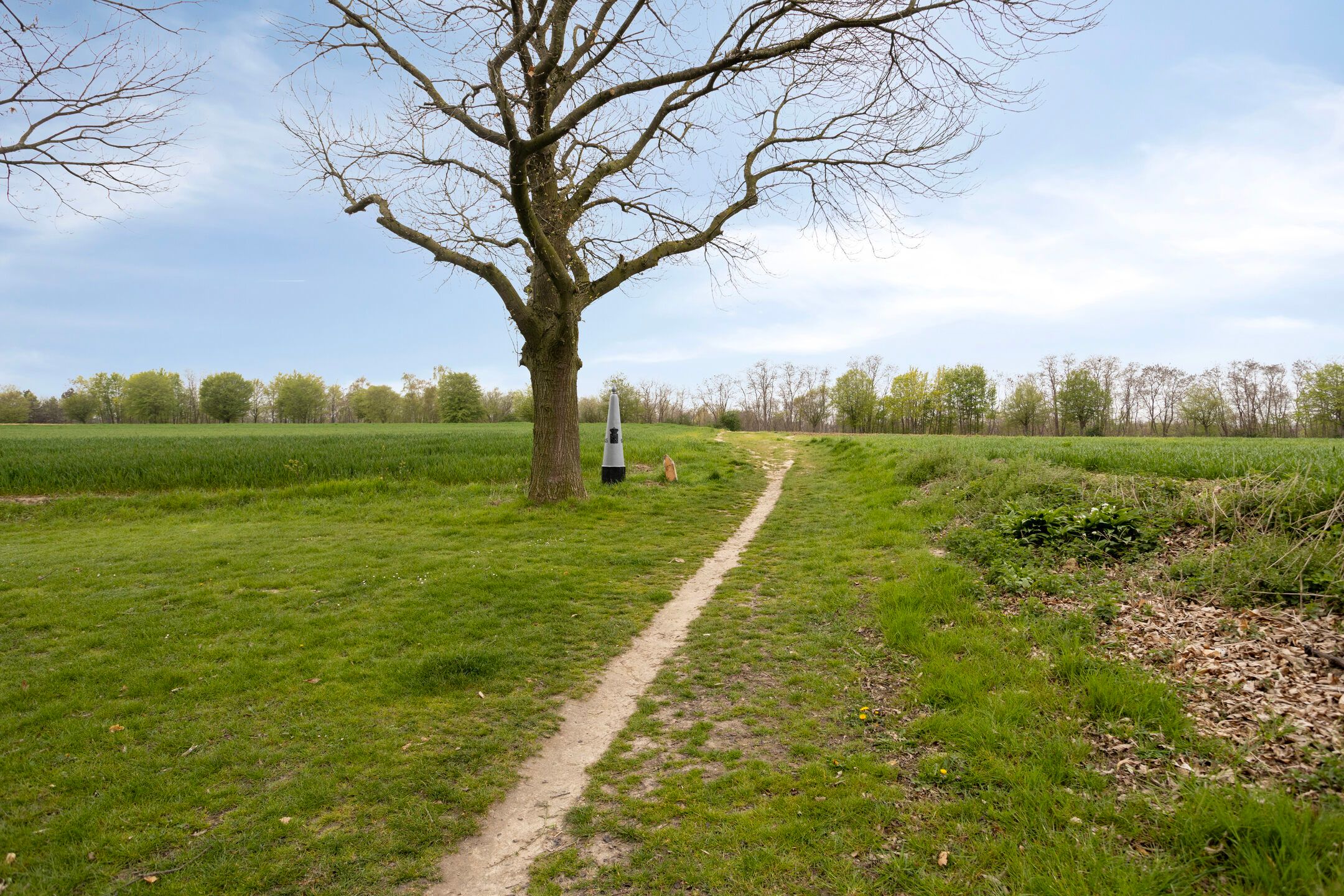 Foto 36 van Nymphenhof 6