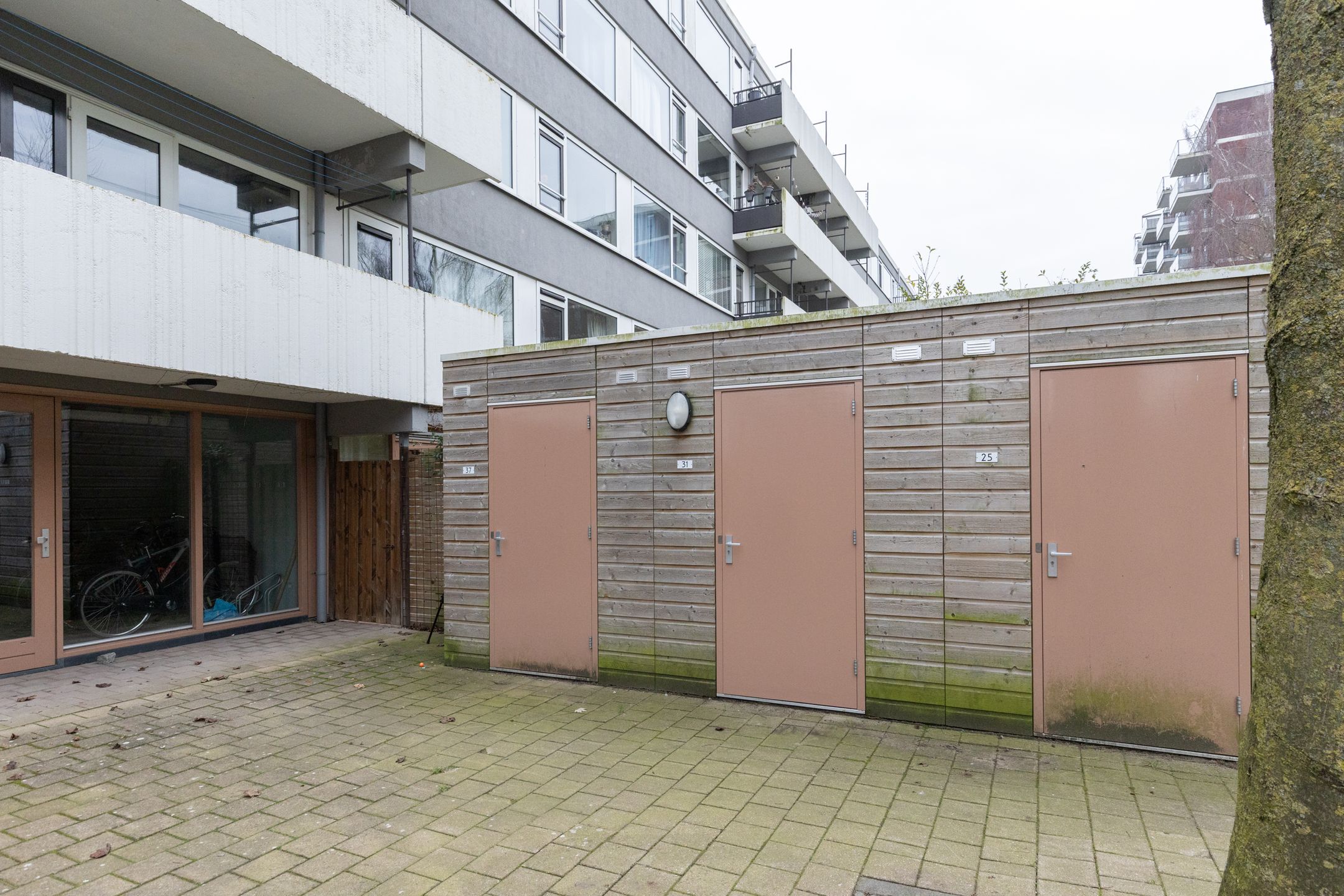 Foto 30 van Auriollaan 31