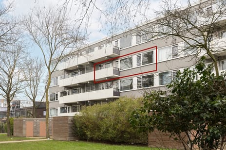 Auriollaan thumbnail