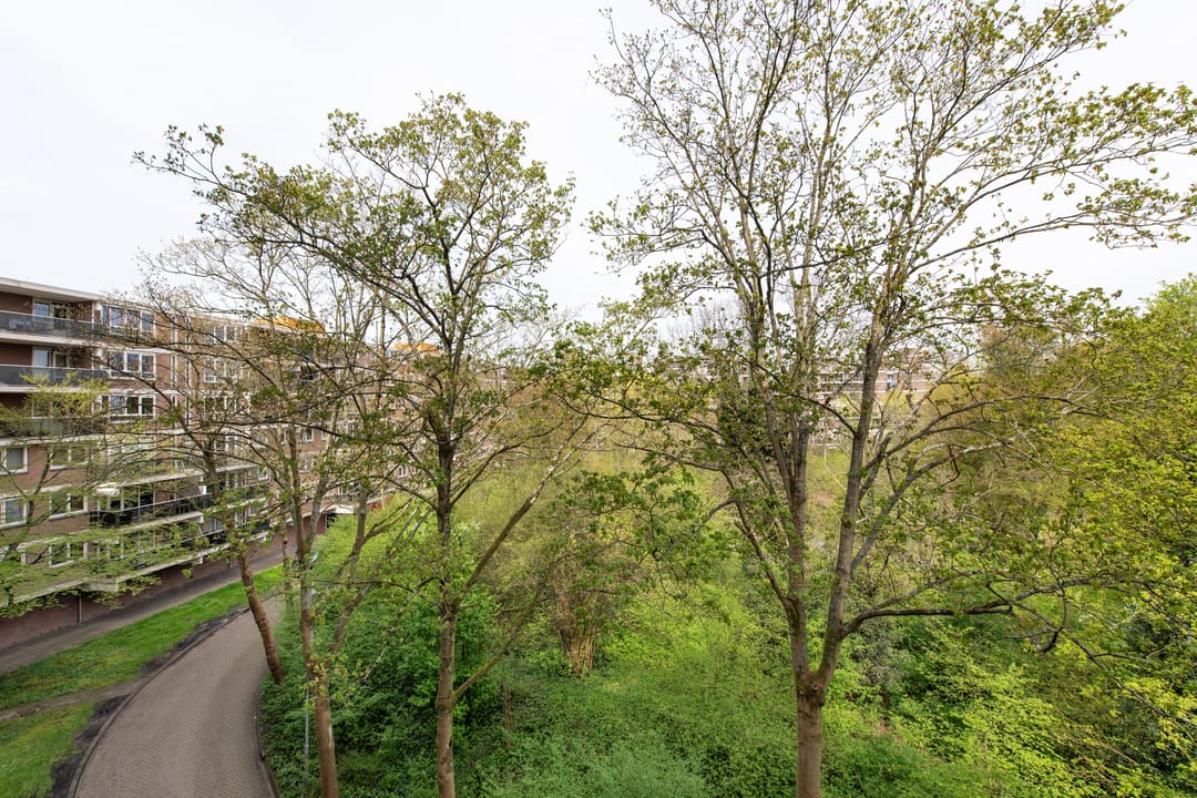 Foto 22 van Sandenburg 277