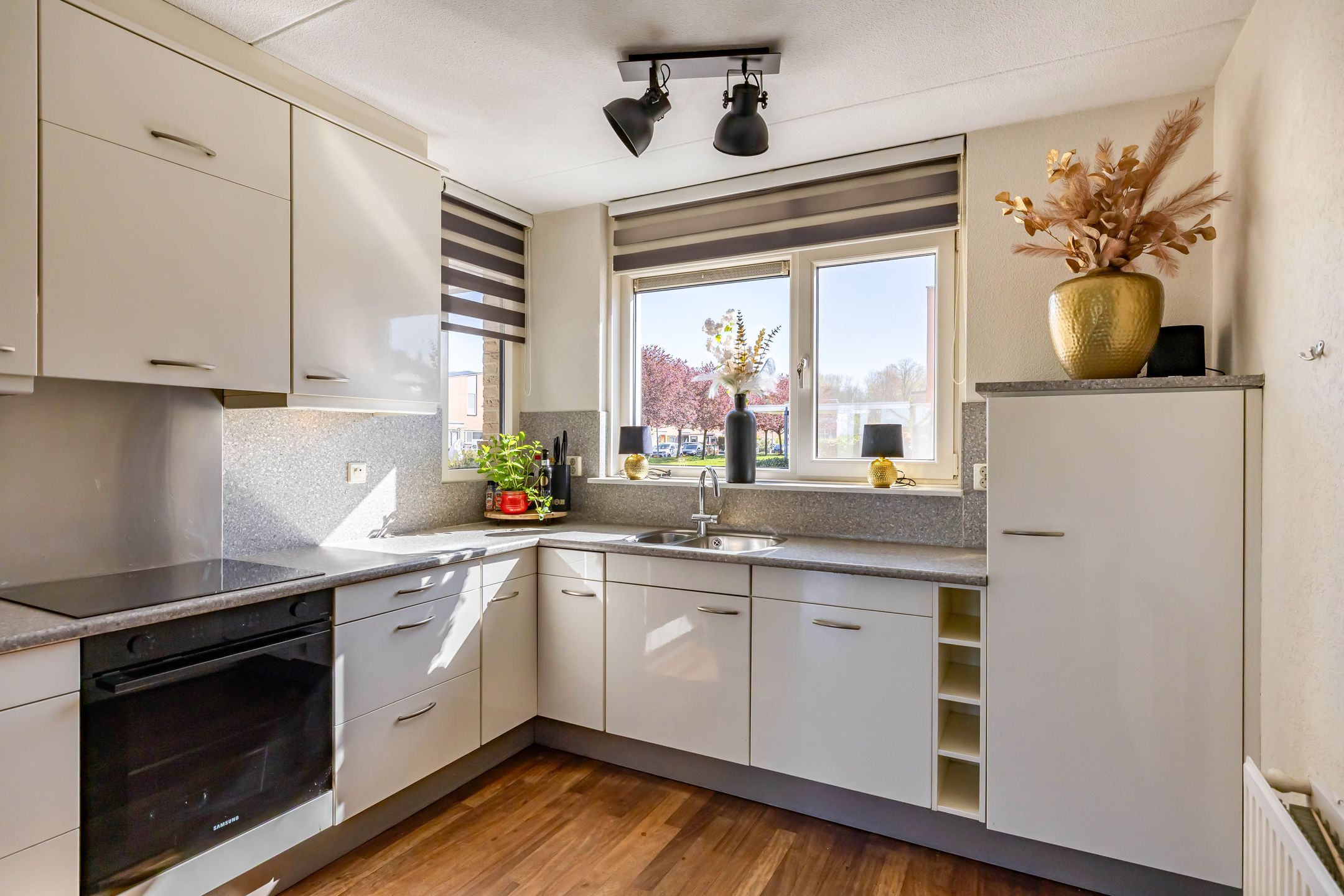 Foto 3 van Jakob Israël de Haanstraat 46