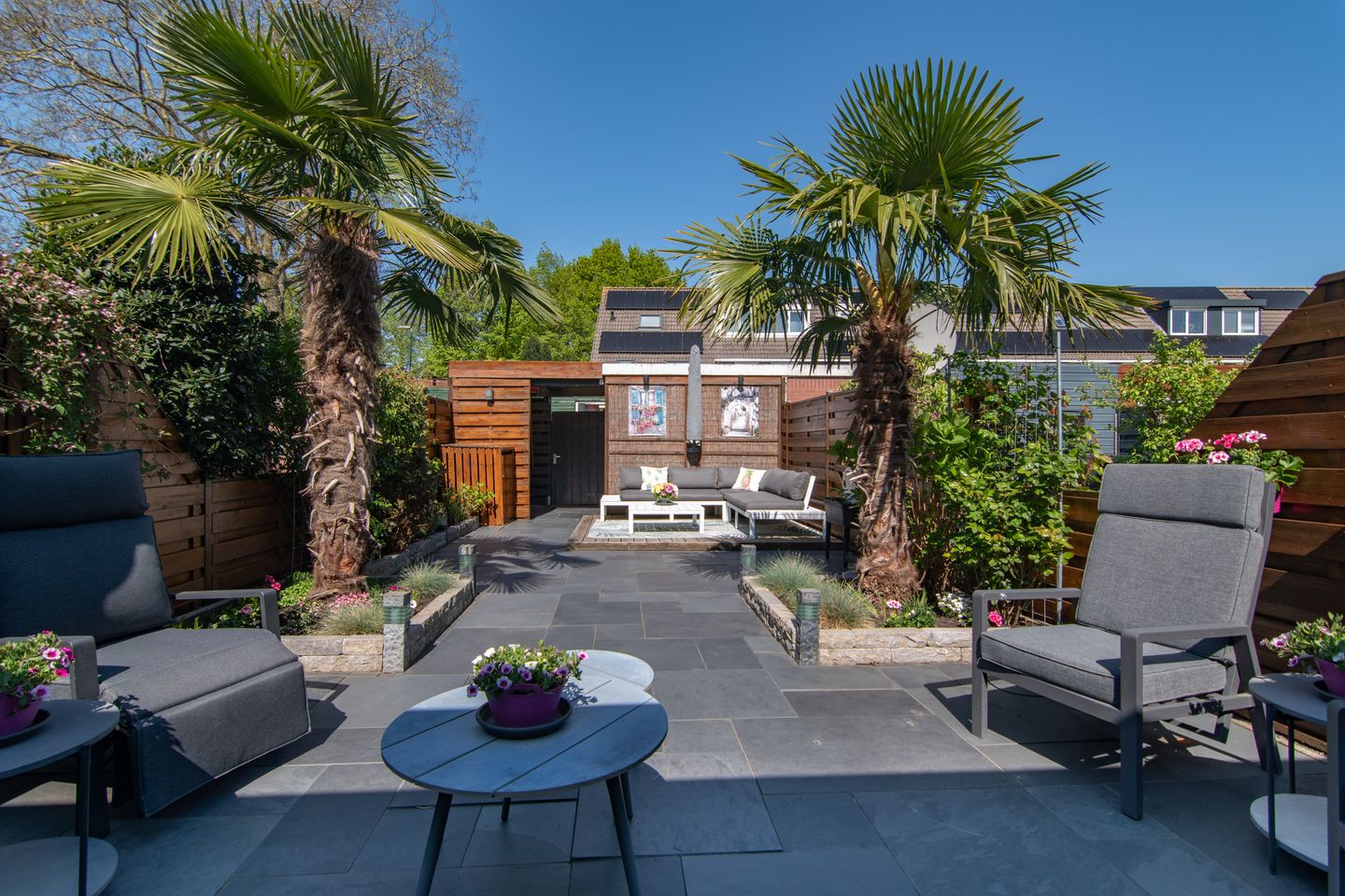 Foto 20 van Saffier 29