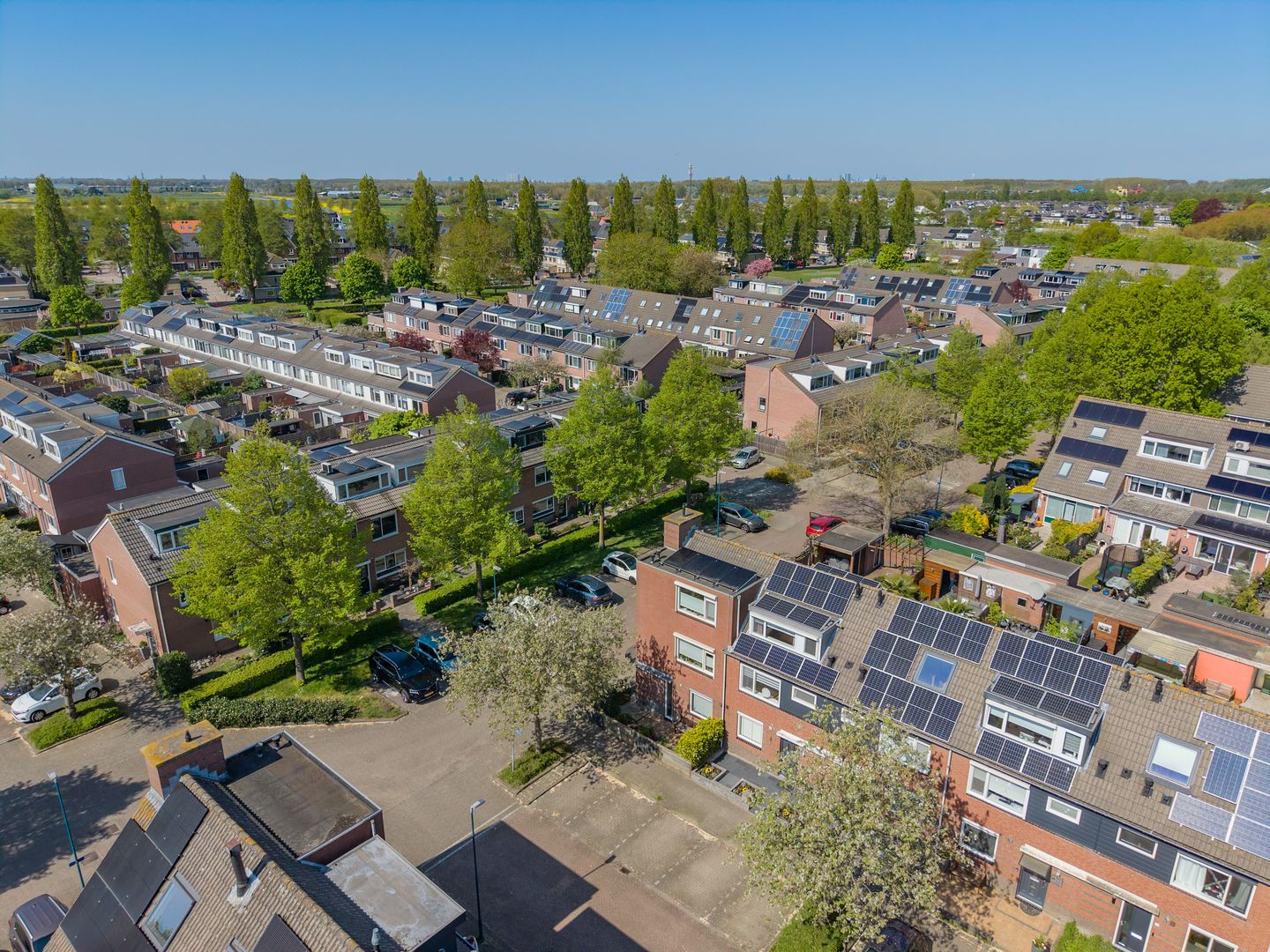 Foto 49 van Saffier 29