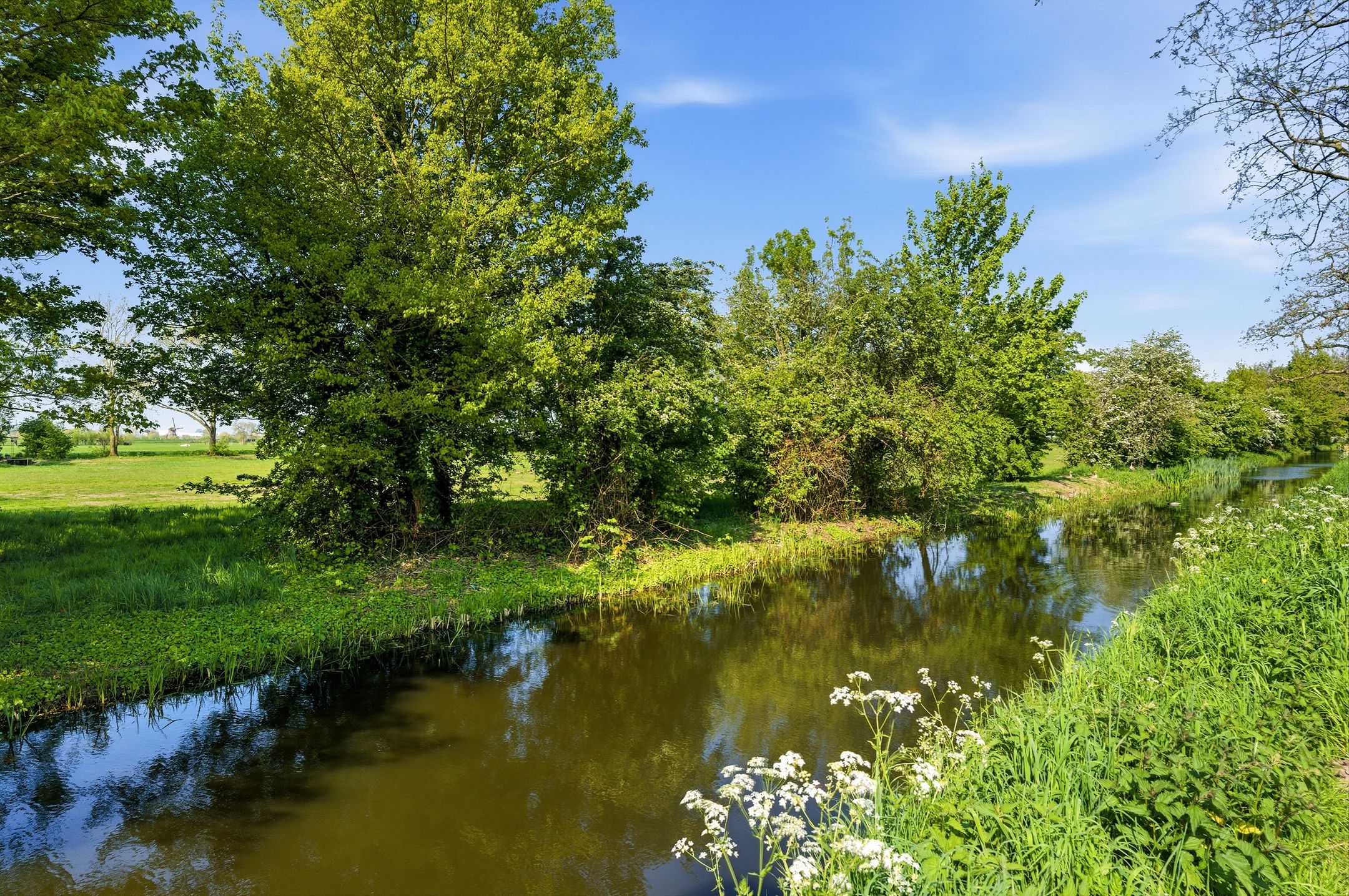 Foto 42 van Tjalkstraat 7