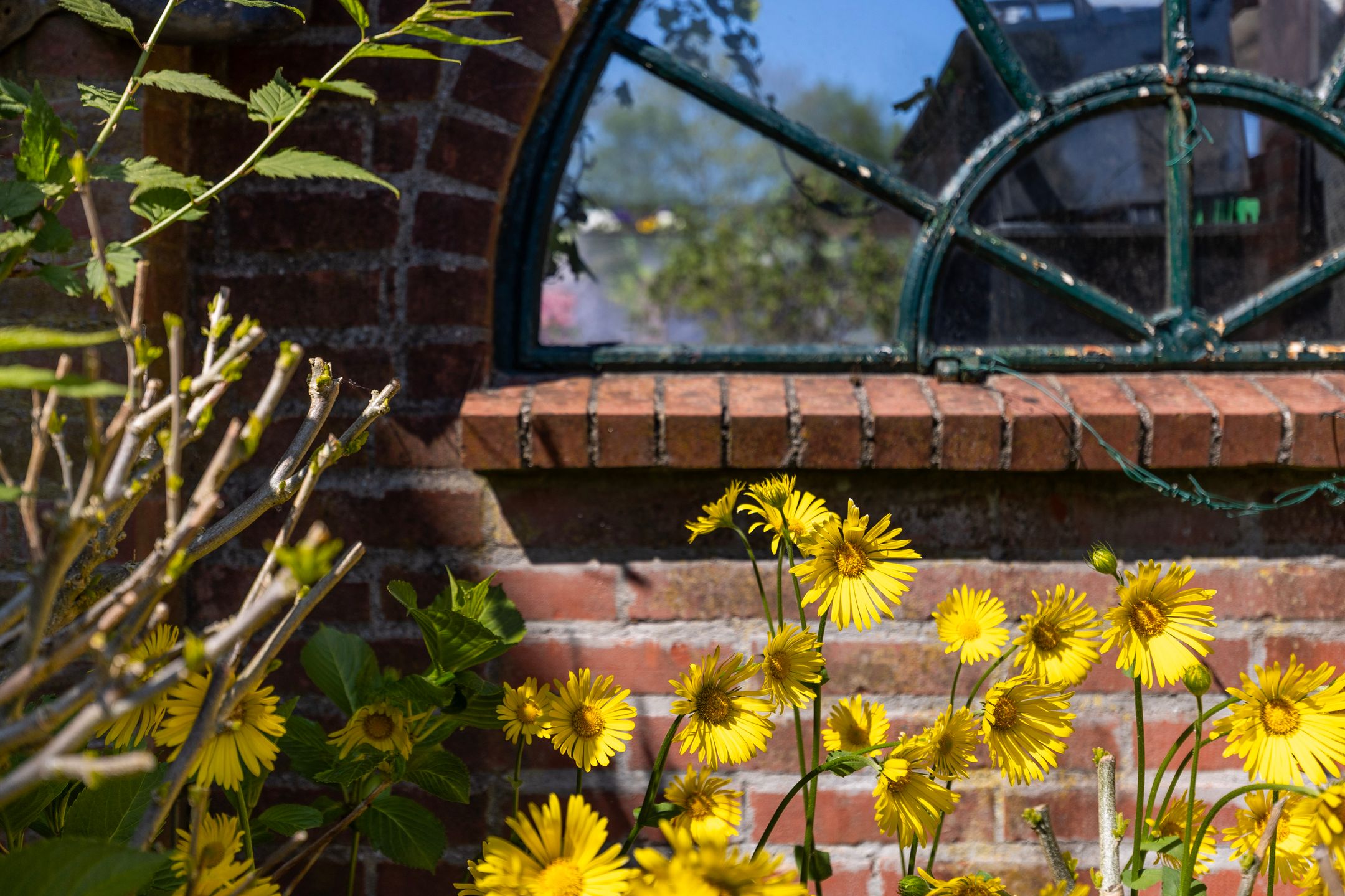 Foto 48 van Merelstraat 6