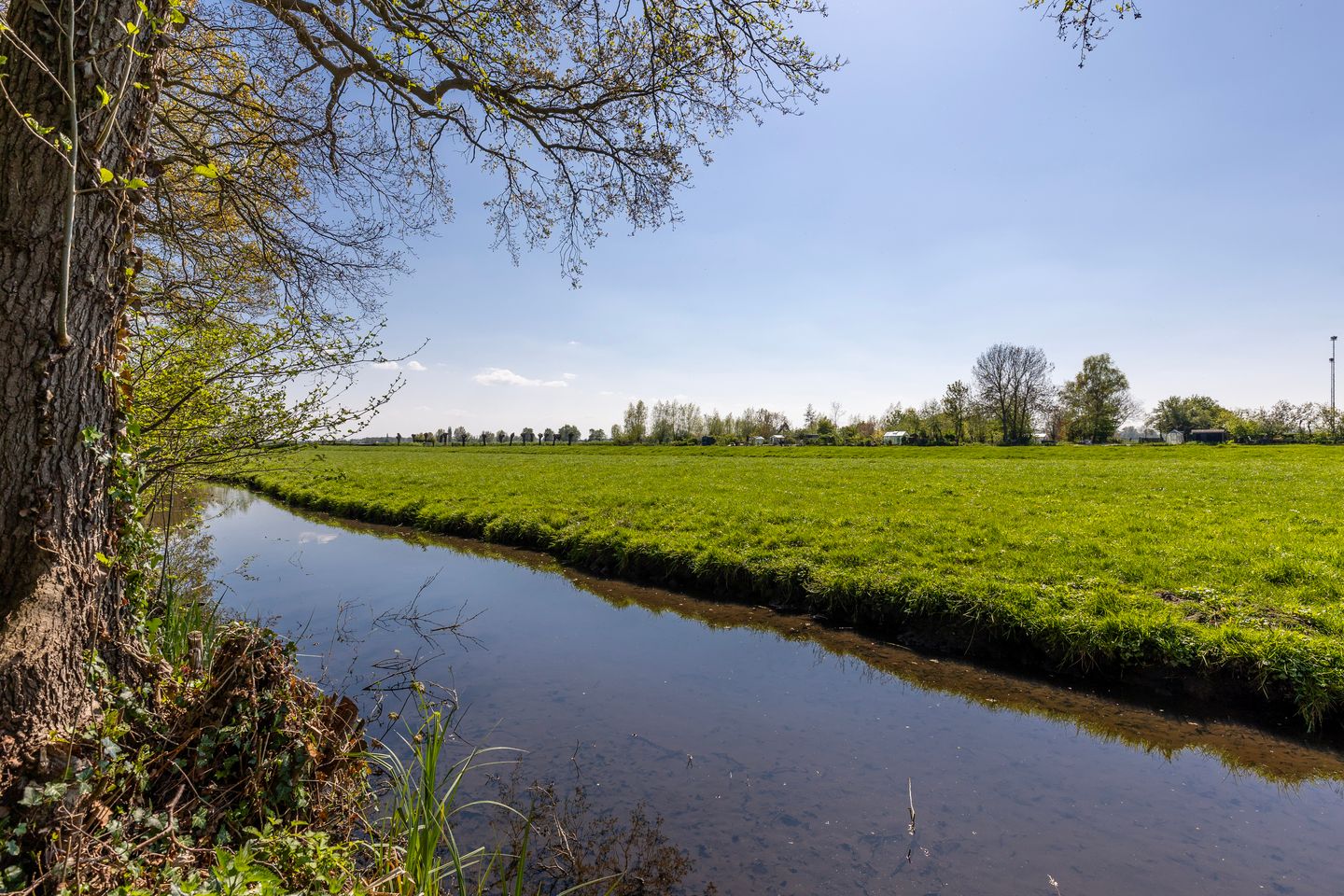 Foto 55 van Merelstraat 6