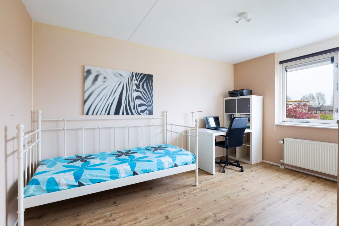 Photo 23 of Boomgaard 13