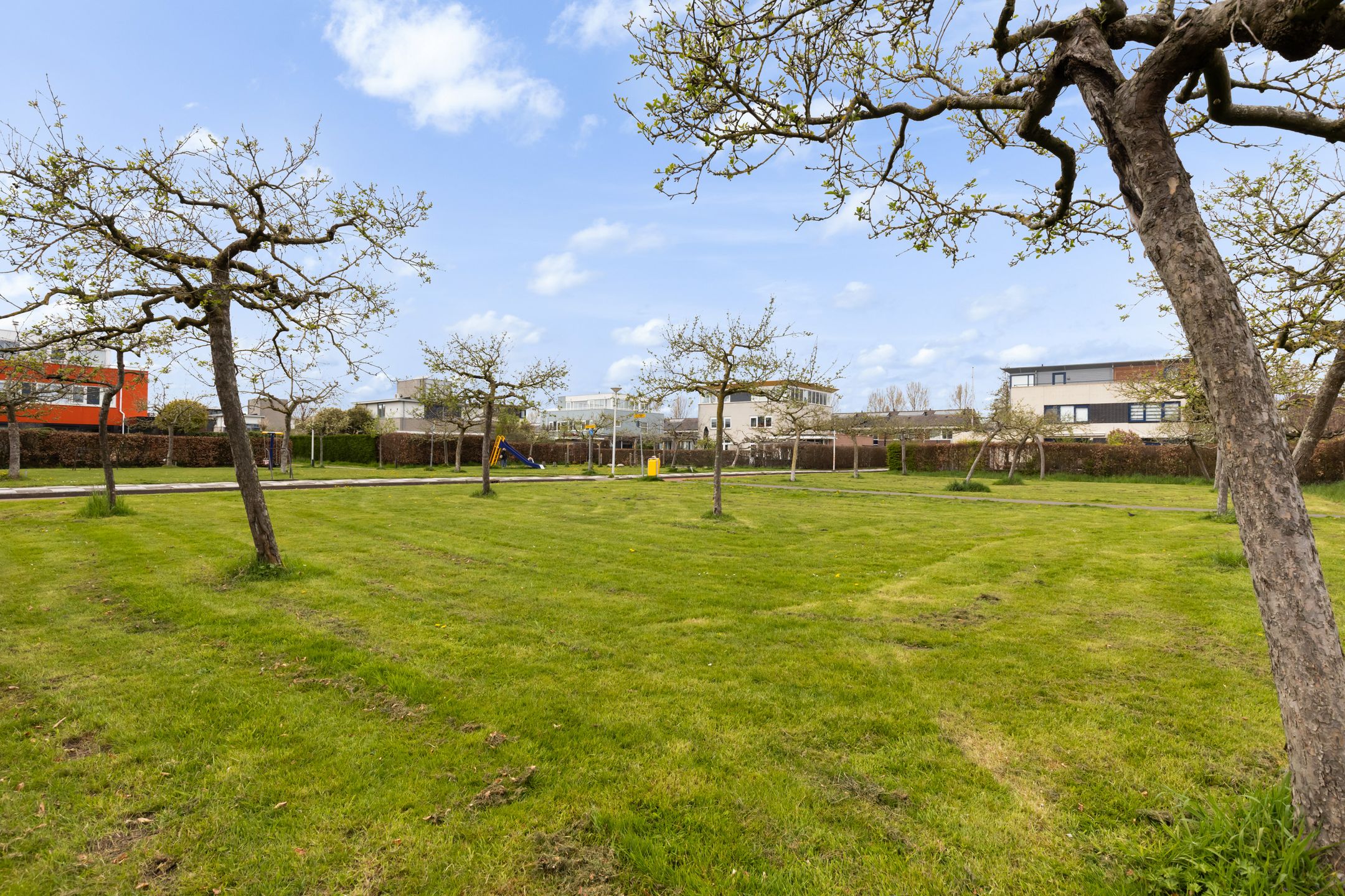 Photo 42 of Boomgaard 13