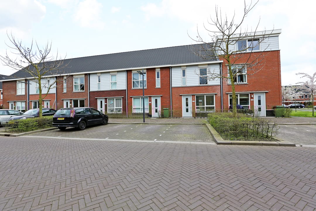 Foto 2 van Maasdijk 274