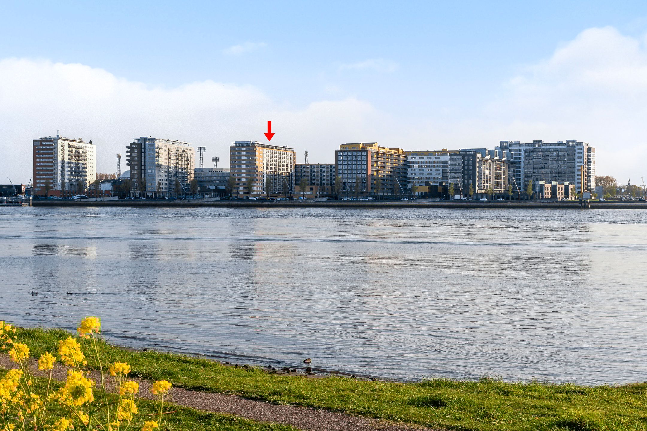 Adriaan Kooningsstraat 260 