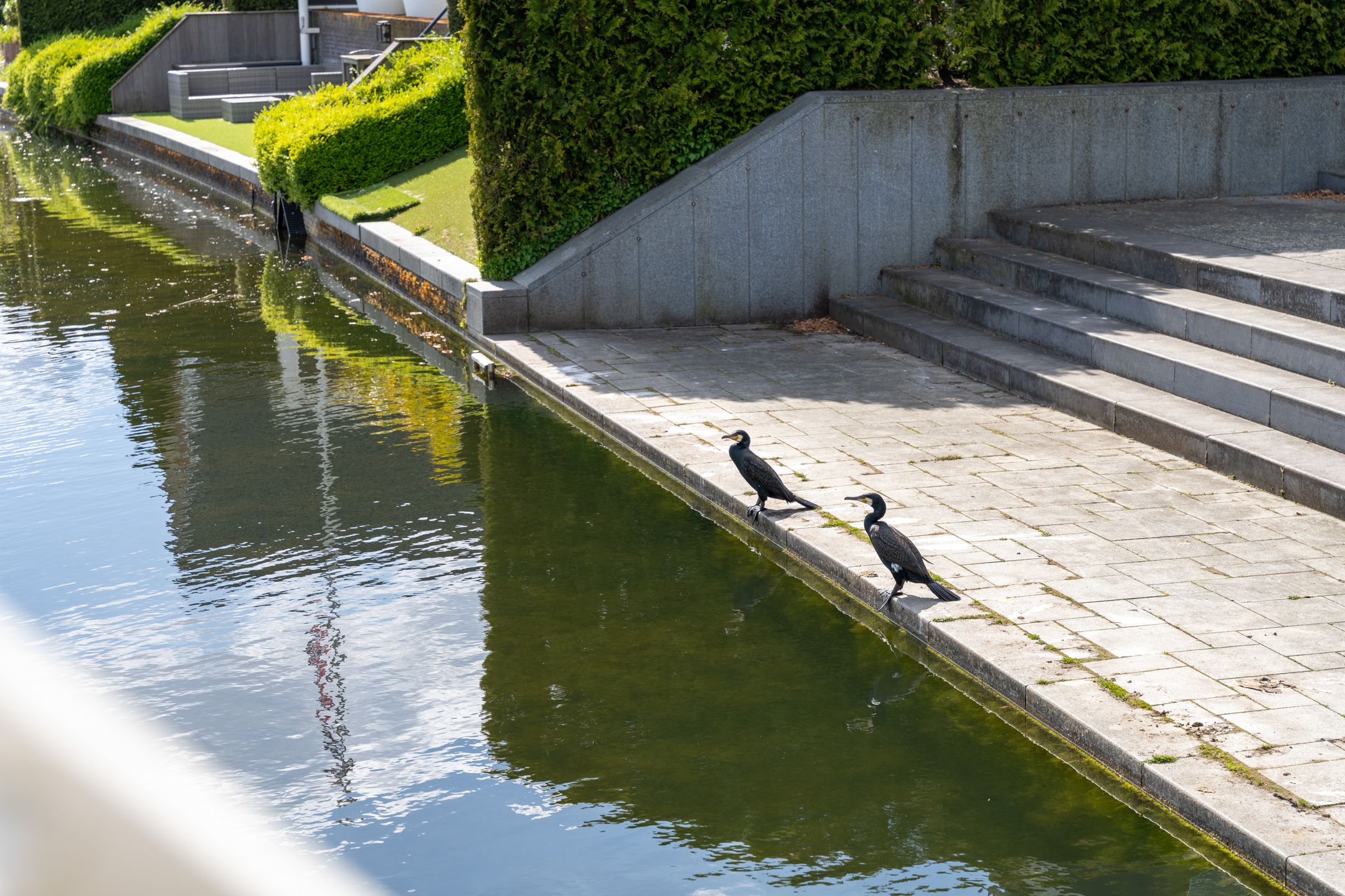 Foto 51 van Floris V Dreef 35