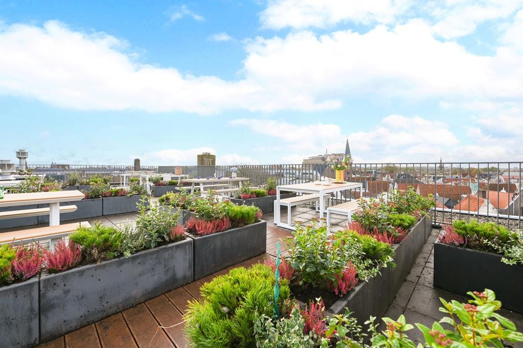 Foto 22 van Nobelstraat 19-A4