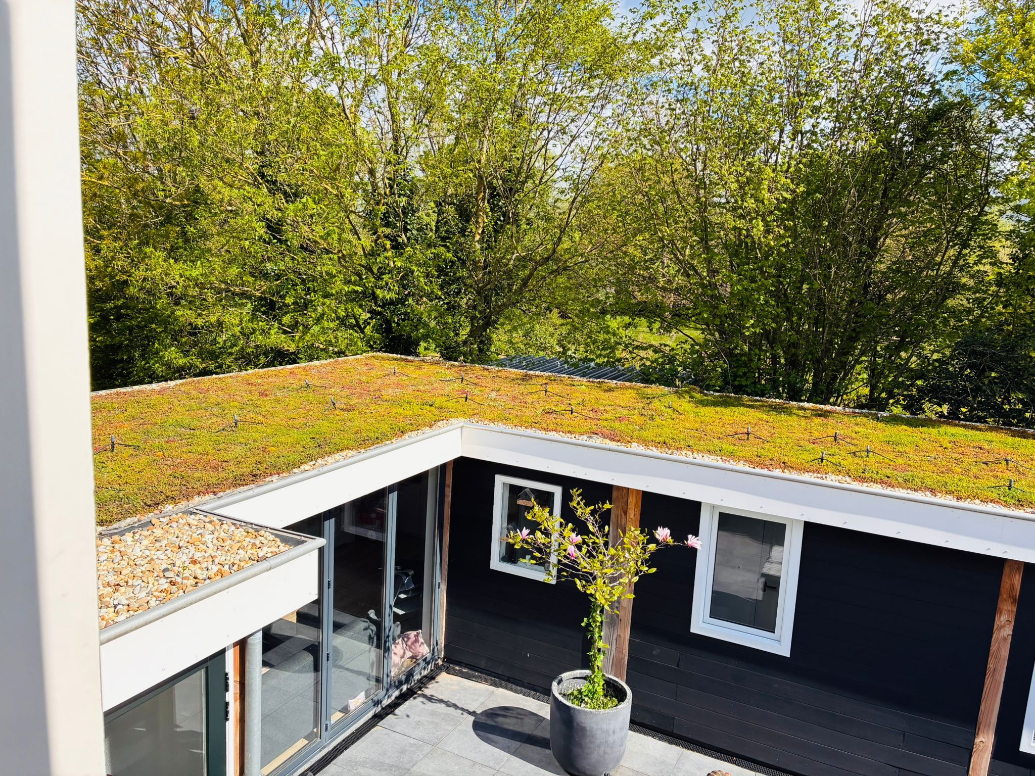 Foto 6 van Witboomstraat 42-D