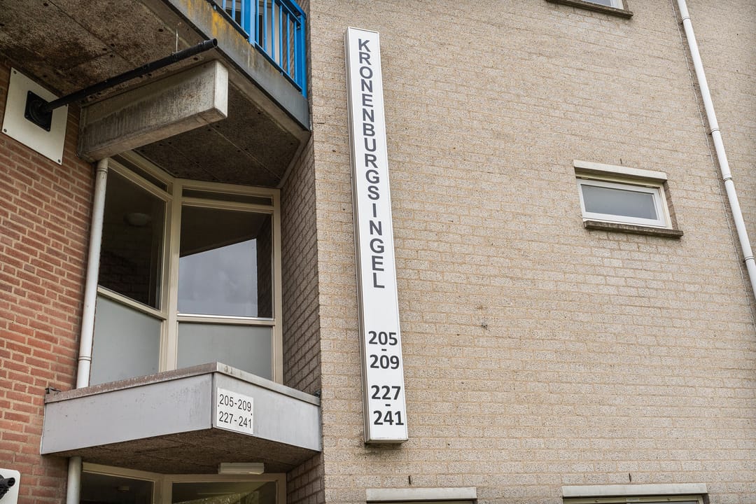 Photo 32 of Kronenburgsingel 205