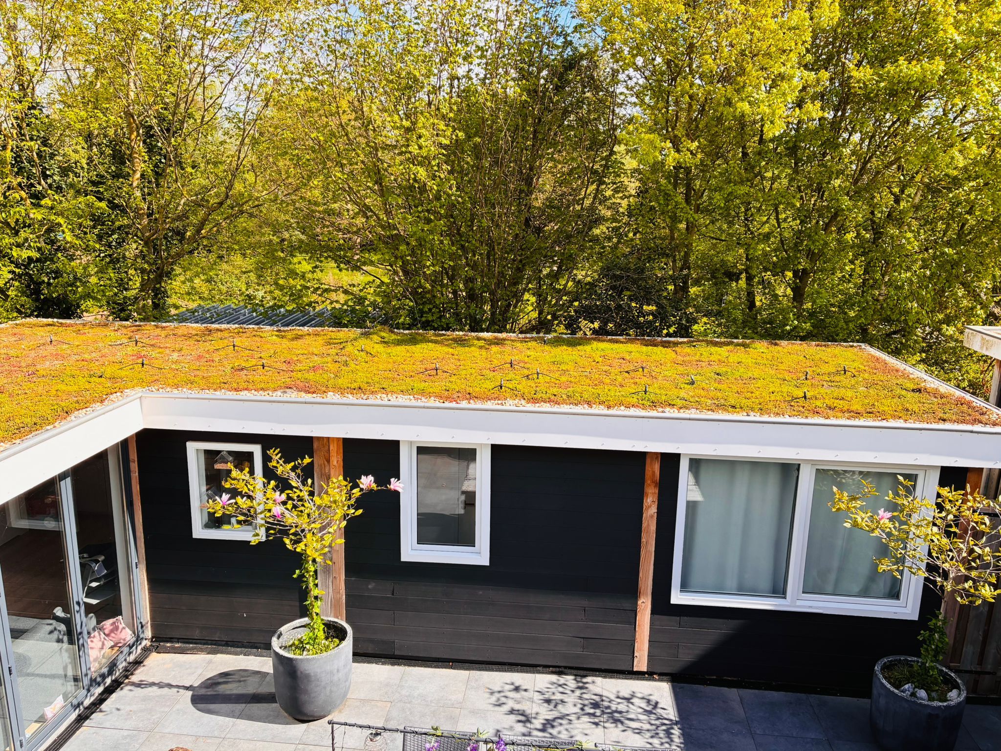 Foto 12 van Witboomstraat 42-D