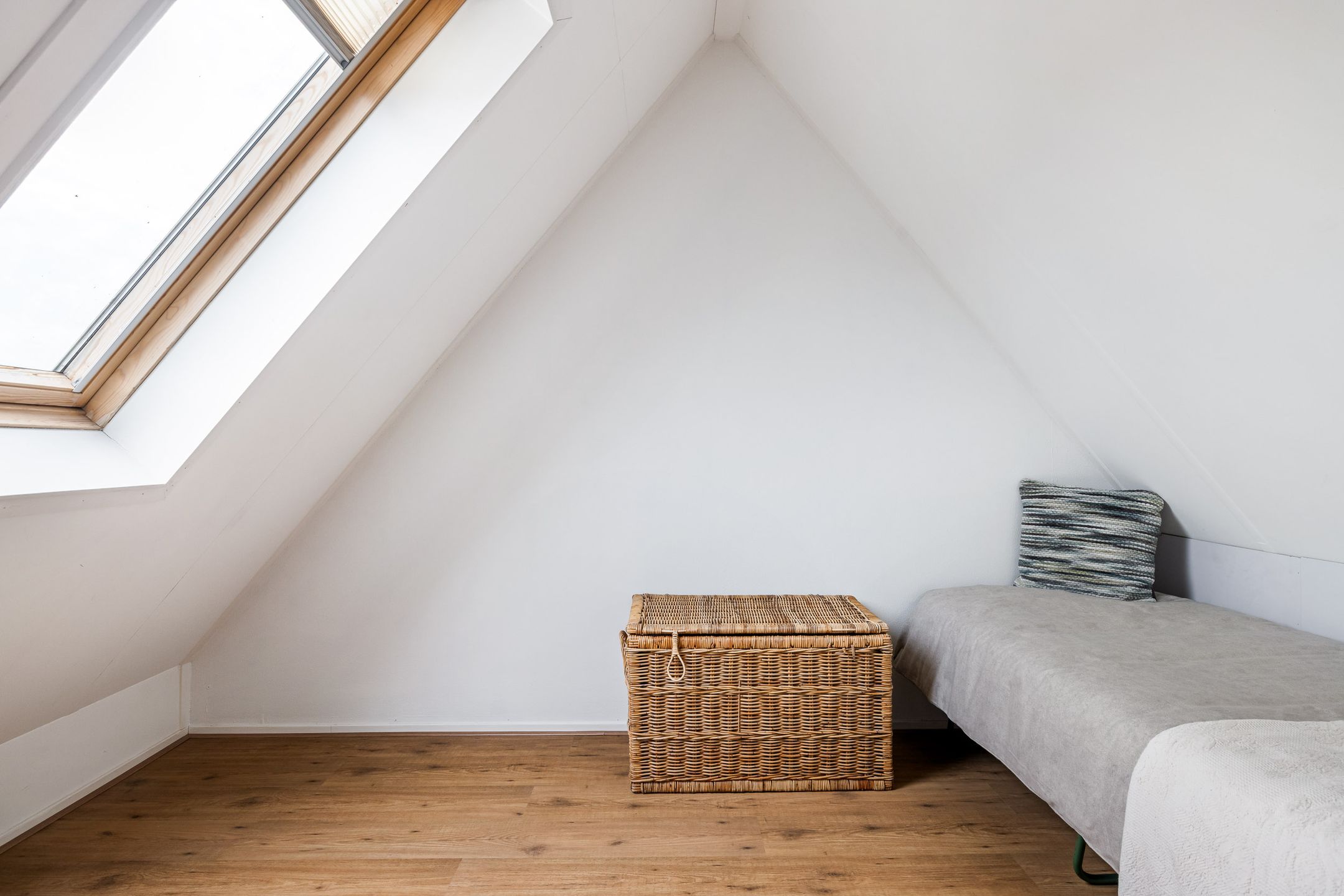 Foto 39 van de Trije 33