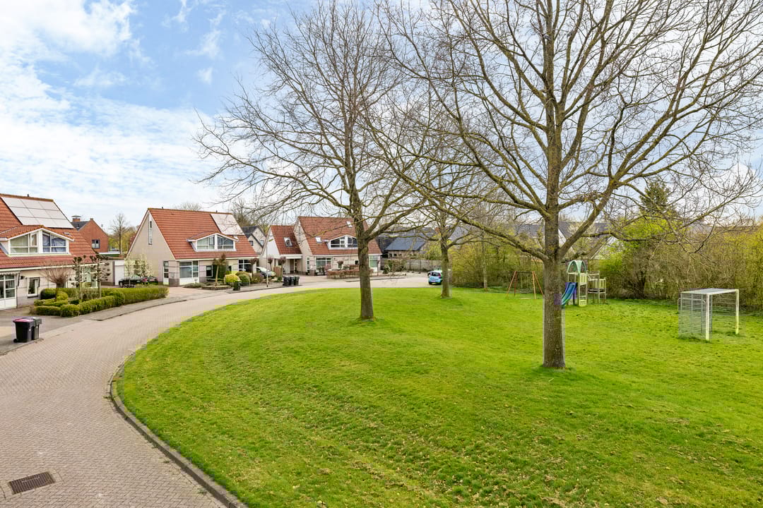 Foto 2 van de Trije 33