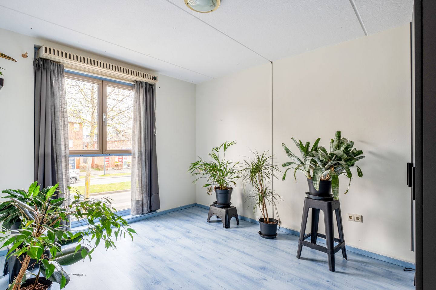 Foto 14 van Laan van Magisch Realisme 204