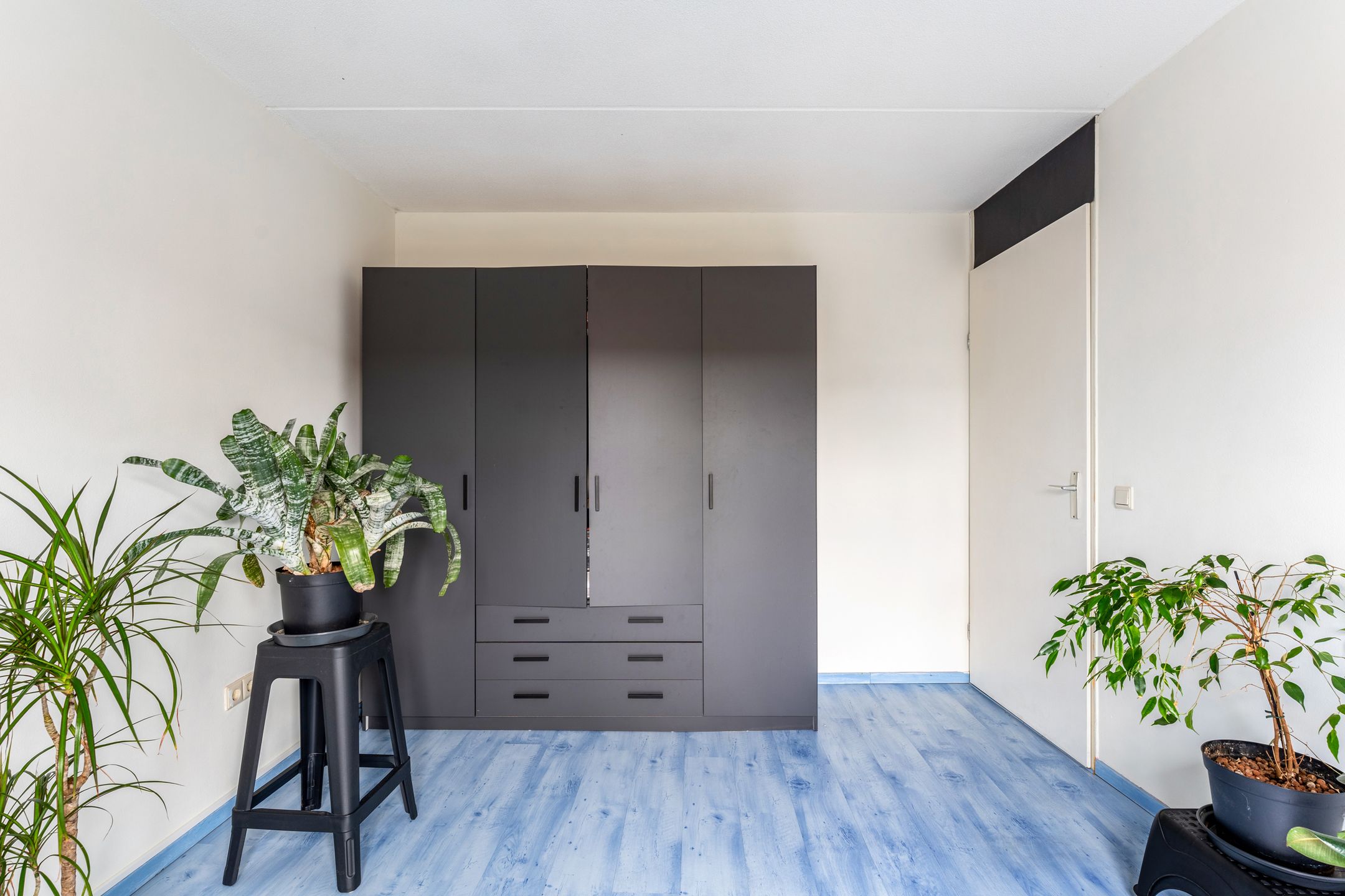 Foto 15 van Laan van Magisch Realisme 204