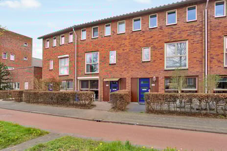 Laan van Magisch Realisme thumbnail