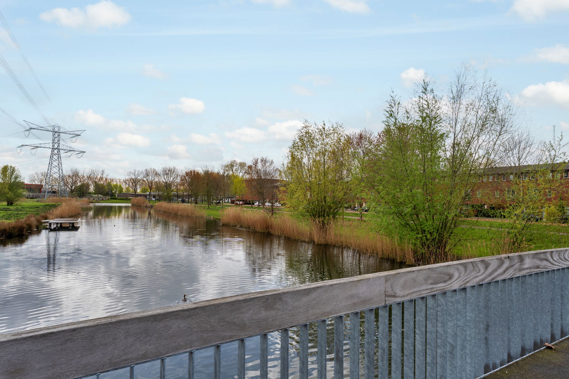 Foto 30 van Laan van Magisch Realisme 204