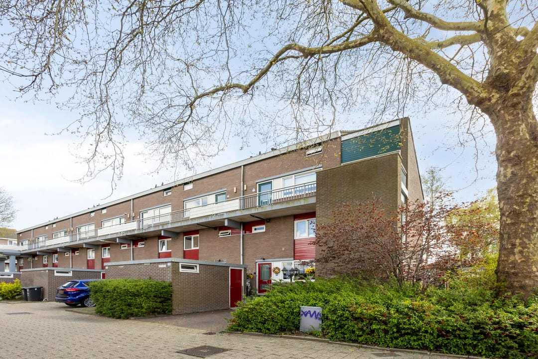 Foto 26 van Waterman 81