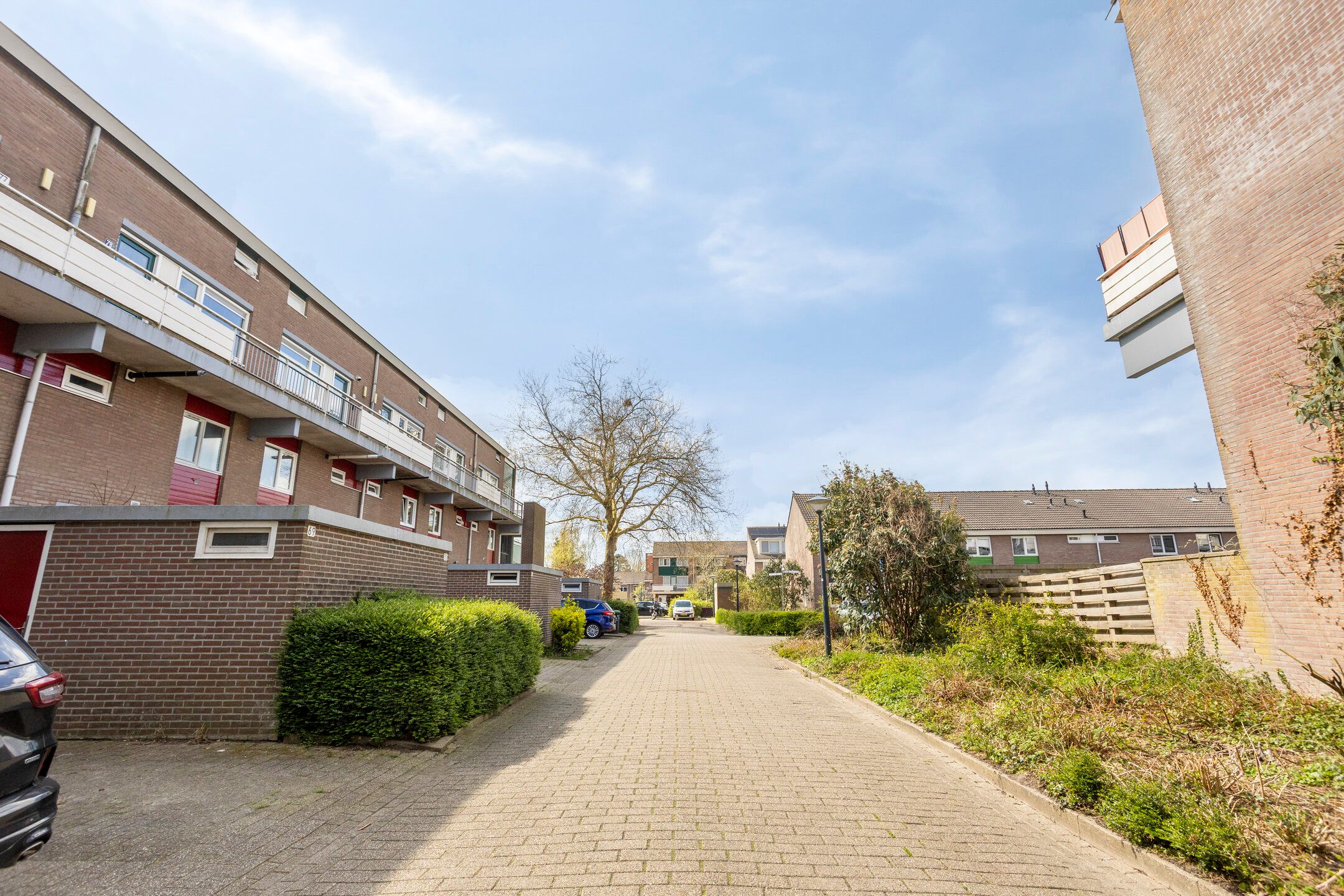 Foto 27 van Waterman 81